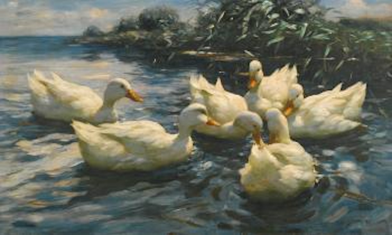 Sechs Enten (Six Ducks) by Alexander Koester