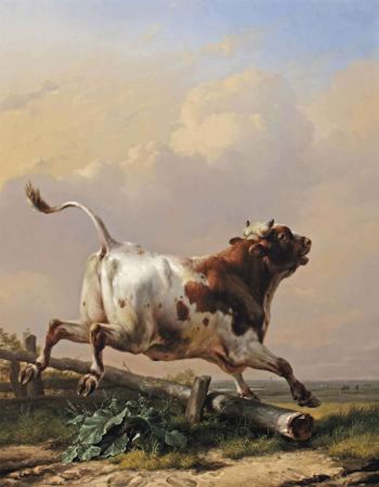 The bull by Eugène Joseph Verboeckhoven