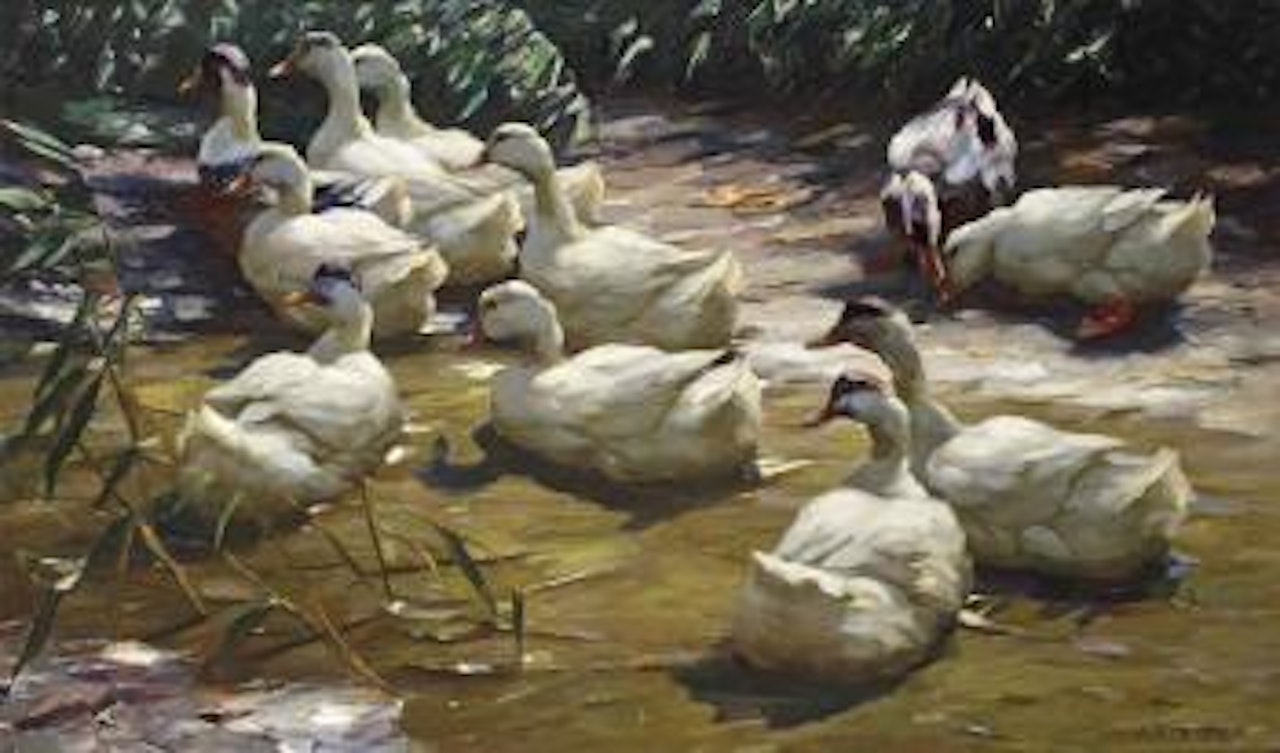 Enten am Weiher: Ducks on the riverbank by Alexander Koester