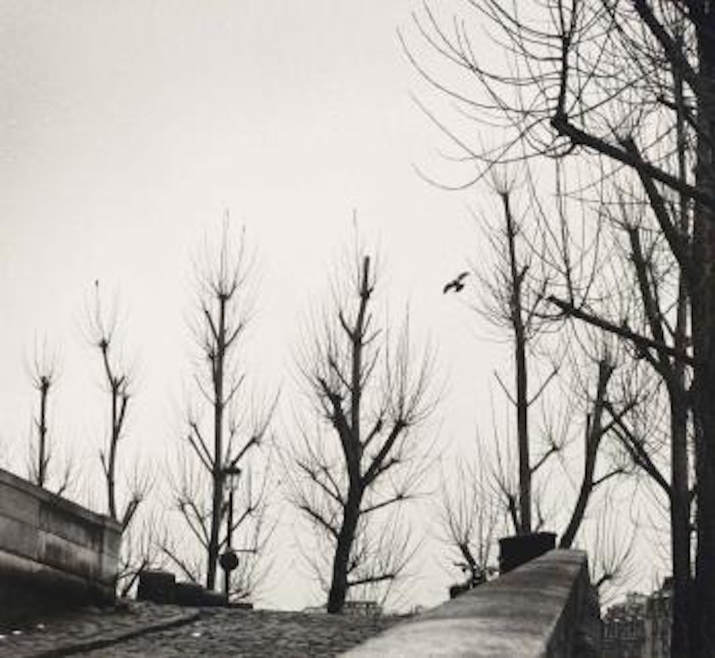 Paris, quai, 26 décembre 1982 by André Kertész