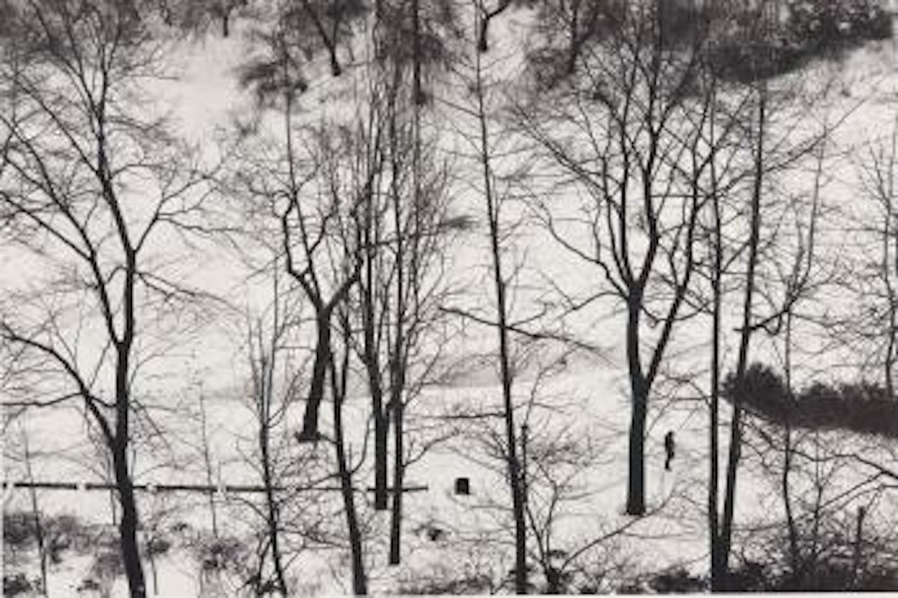 Sans titre by André Kertész