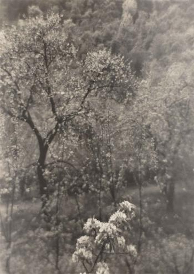 Sans titre by Josef Sudek
