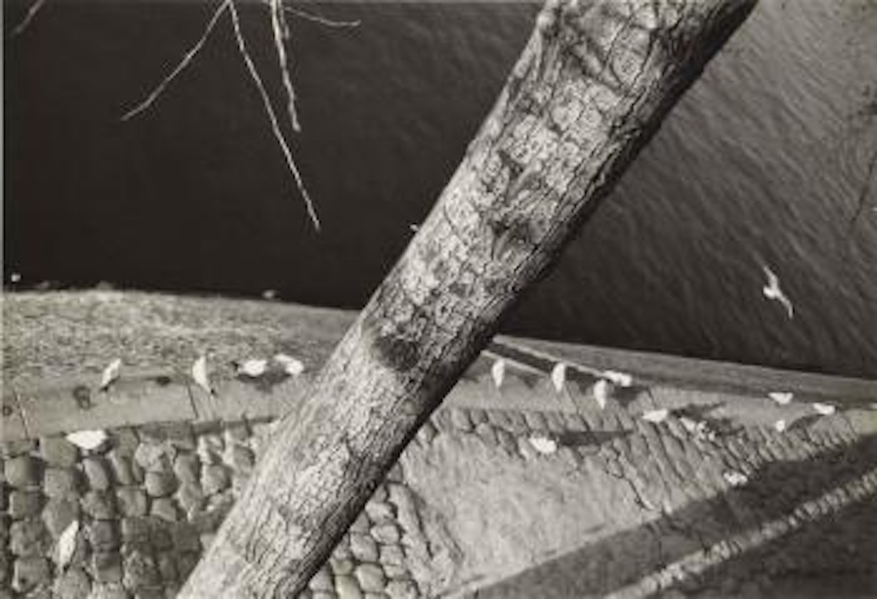 Ile Saint-Louis, Paris by André Kertész