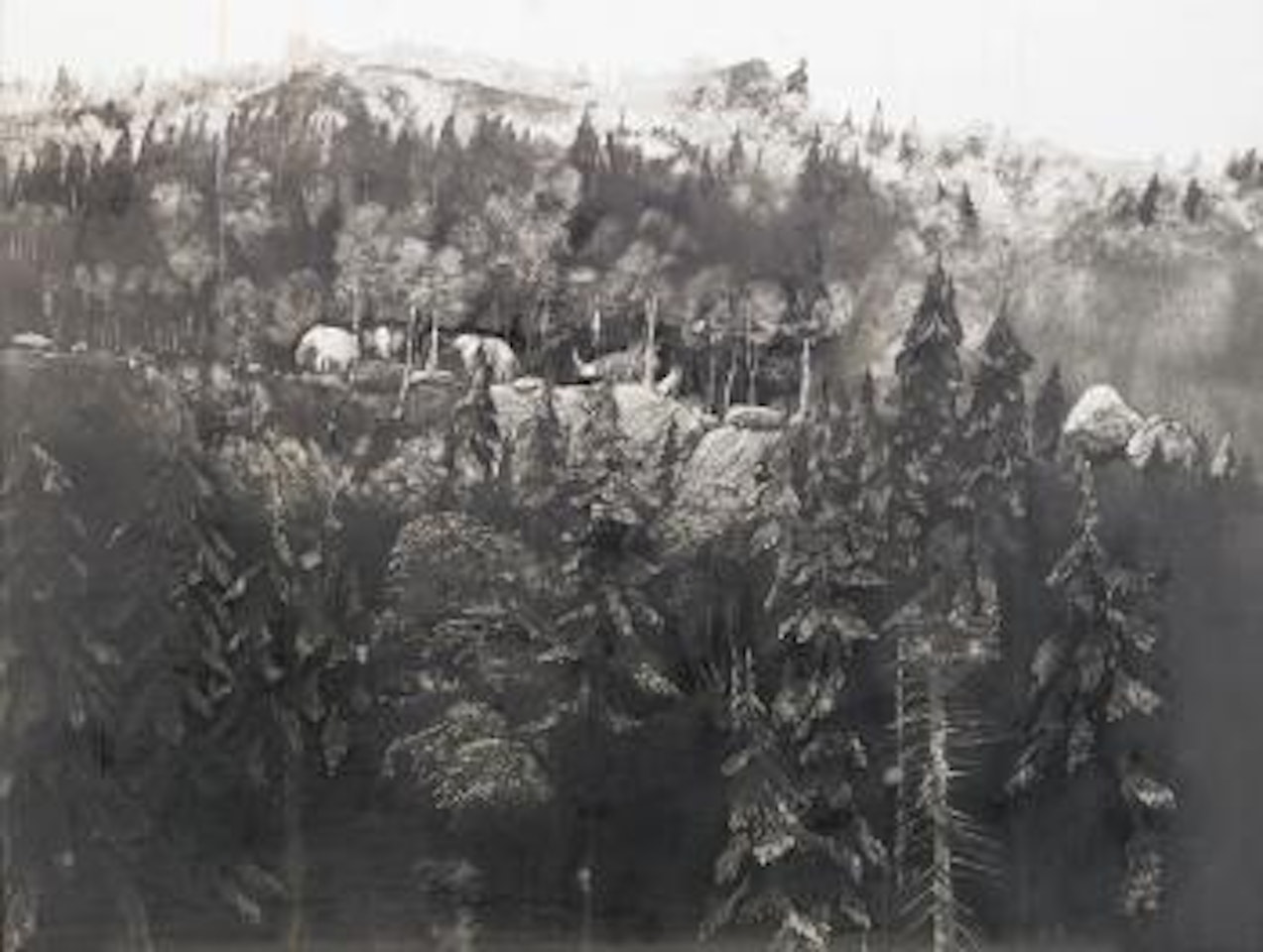 Elefanter på Byaråsen by Roj Friberg