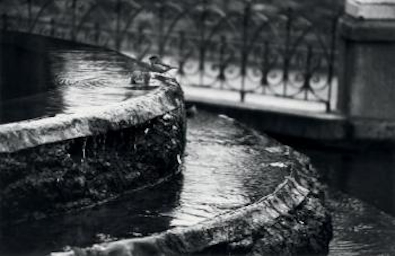 La Fontaine Médicis, Paris, 12 décembre by André Kertész