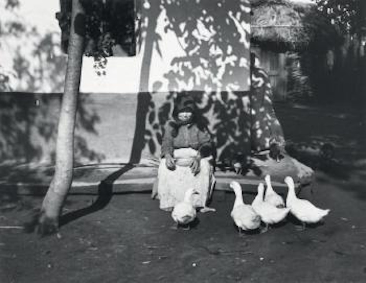 Tisza Szalka, Hongrie, 6 juillet by André Kertész