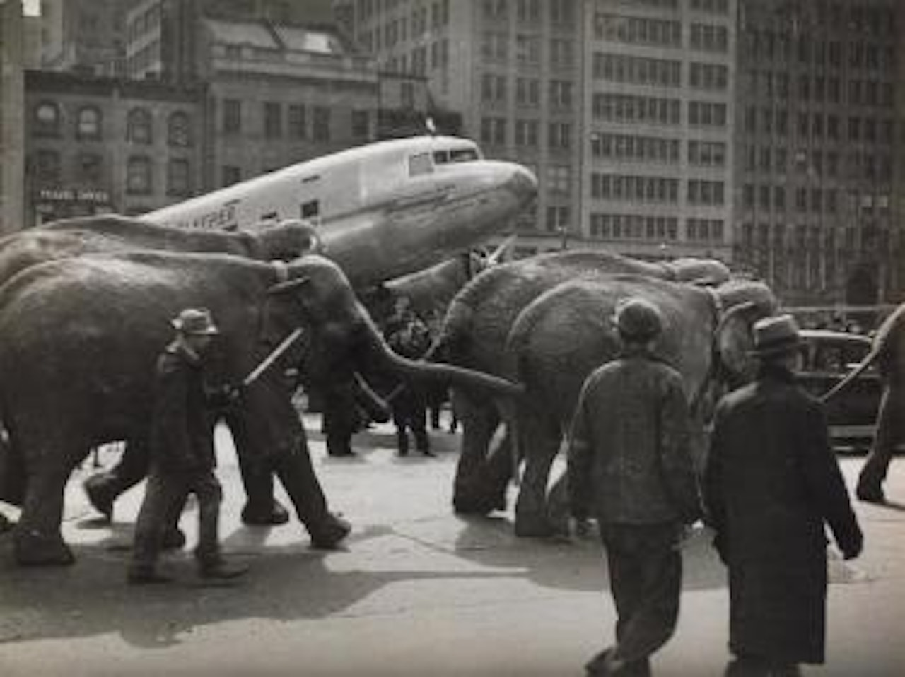Rockefeller Center, éléphants, New York by André Kertész