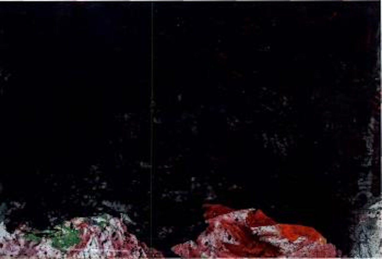 o.T. by Hermann Nitsch