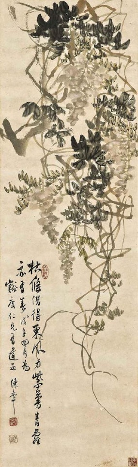 Wisteria by Chen Banding