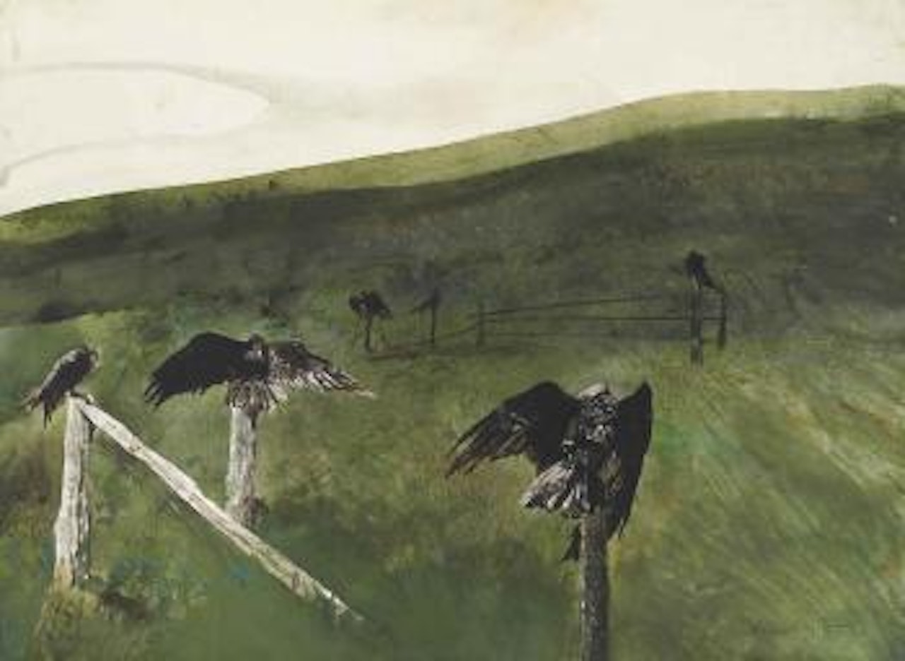 After Lunch by Andrew Wyeth