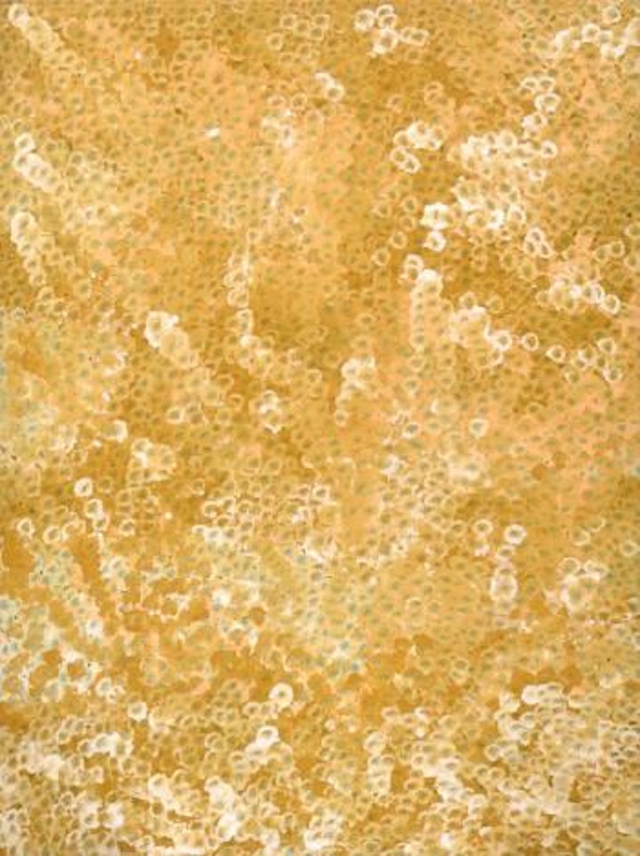 Wildflower by Emily Kame Kngwarreye