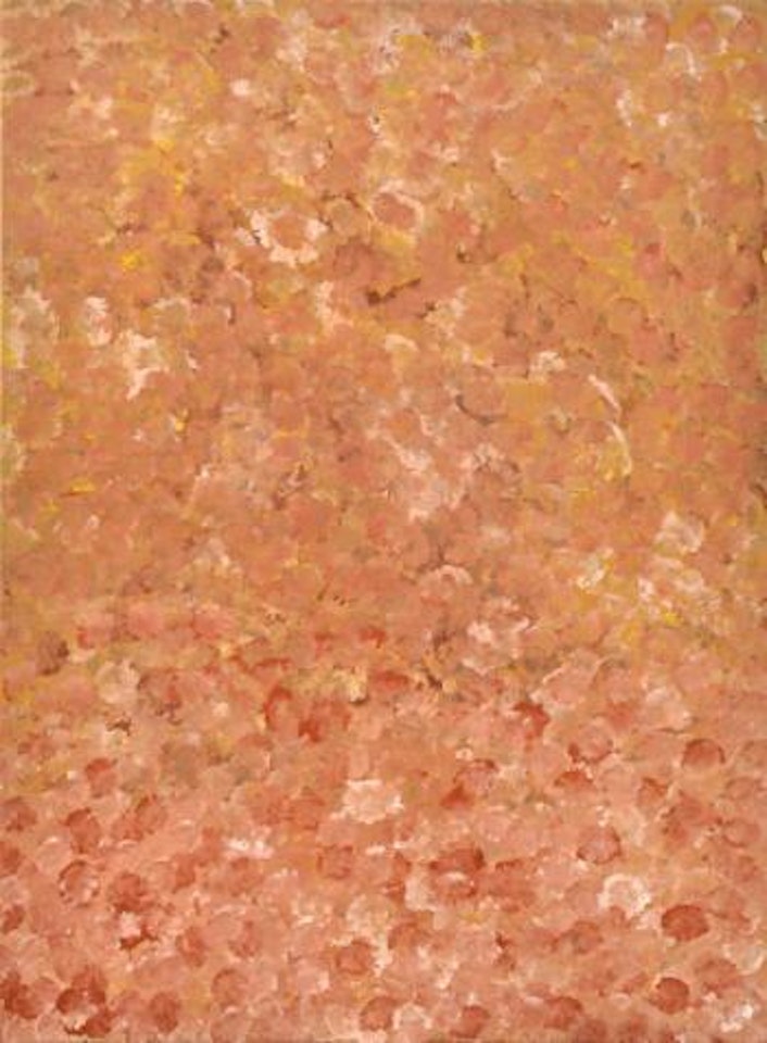 Wildflower by Emily Kame Kngwarreye