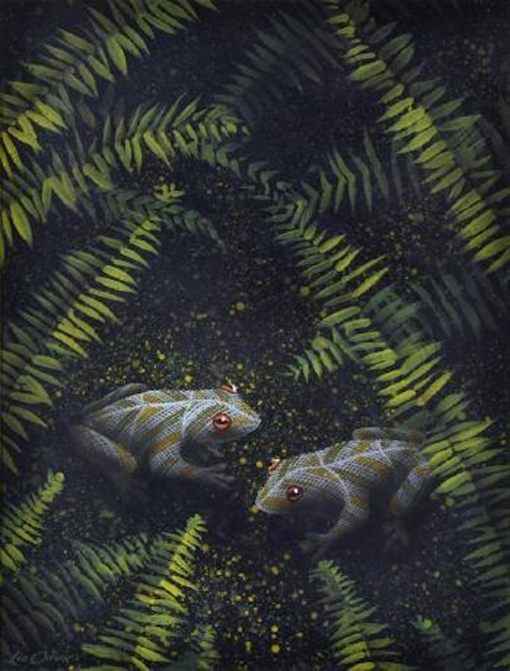 Frogs in ferns by Lin Onus