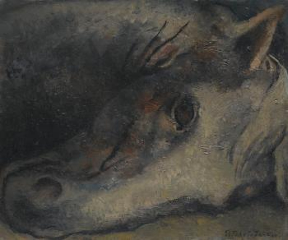 Head Of A Horse by Pavel Tchelitchew