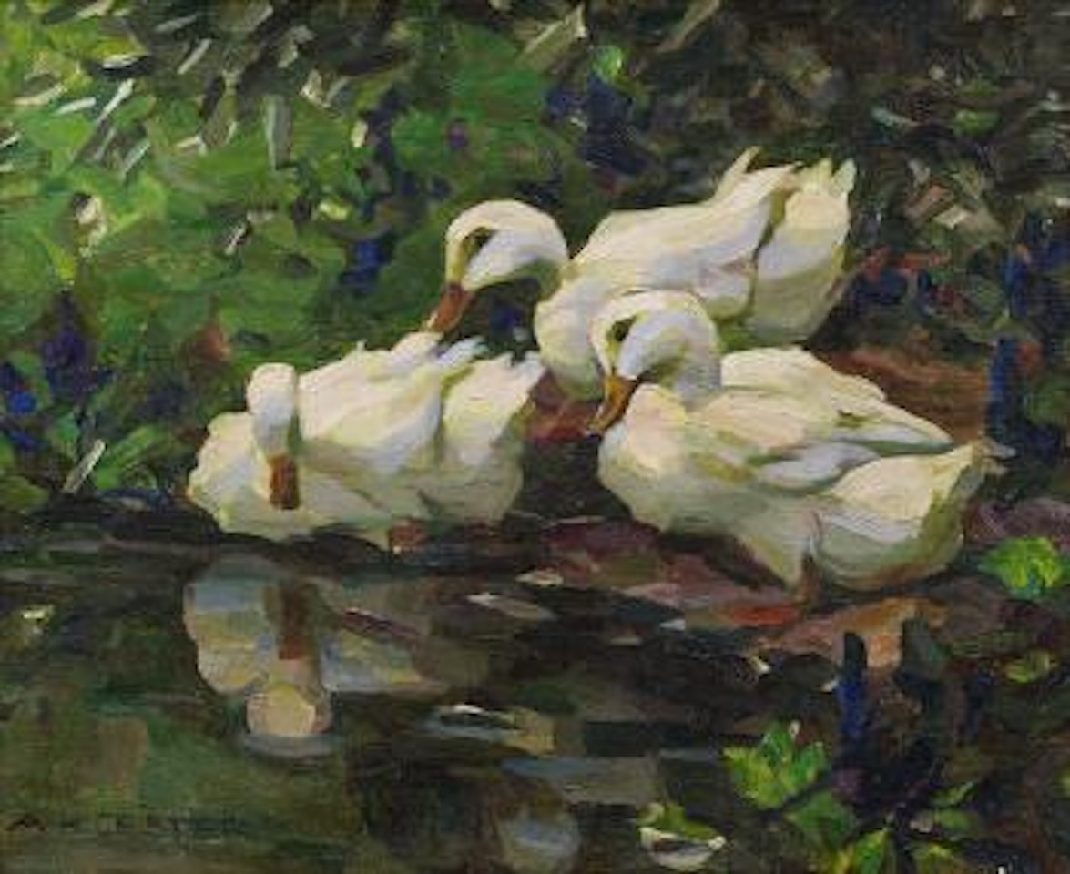 Drei Enten am Teichufer by Alexander Koester