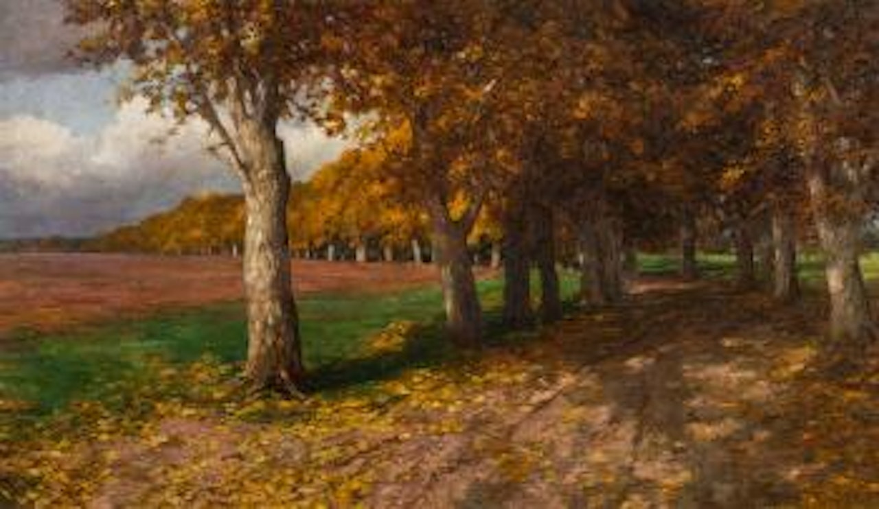 Herbstliche Platanenallee im Schlosspark von Alcsuth/Ungarn by Olga Wisinger-Florian