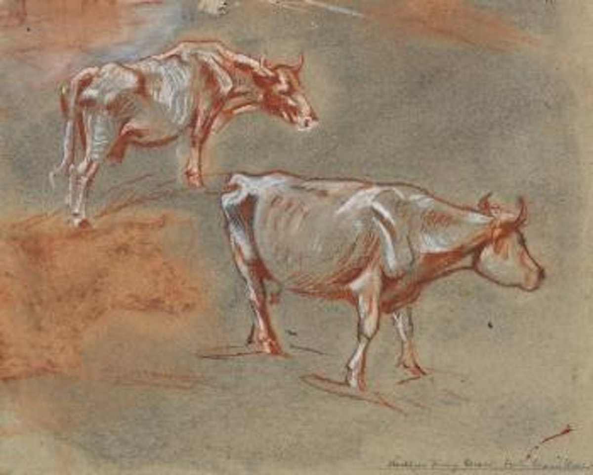 Zwei Kühe by Franz Marc