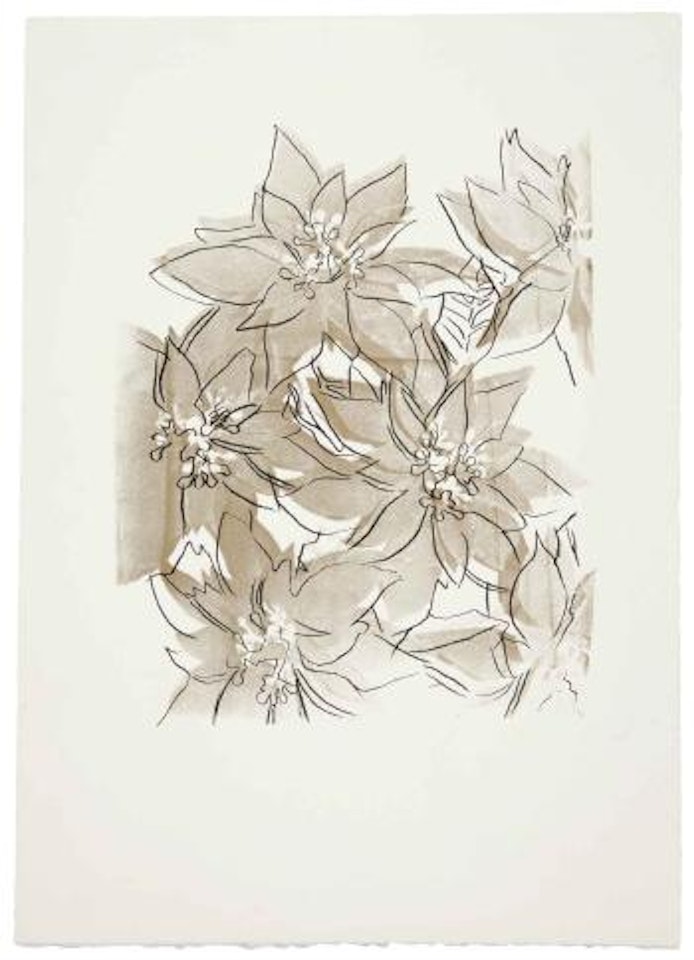 Poinsettias (See F. & S. IIIA.51[b]) by Andy Warhol