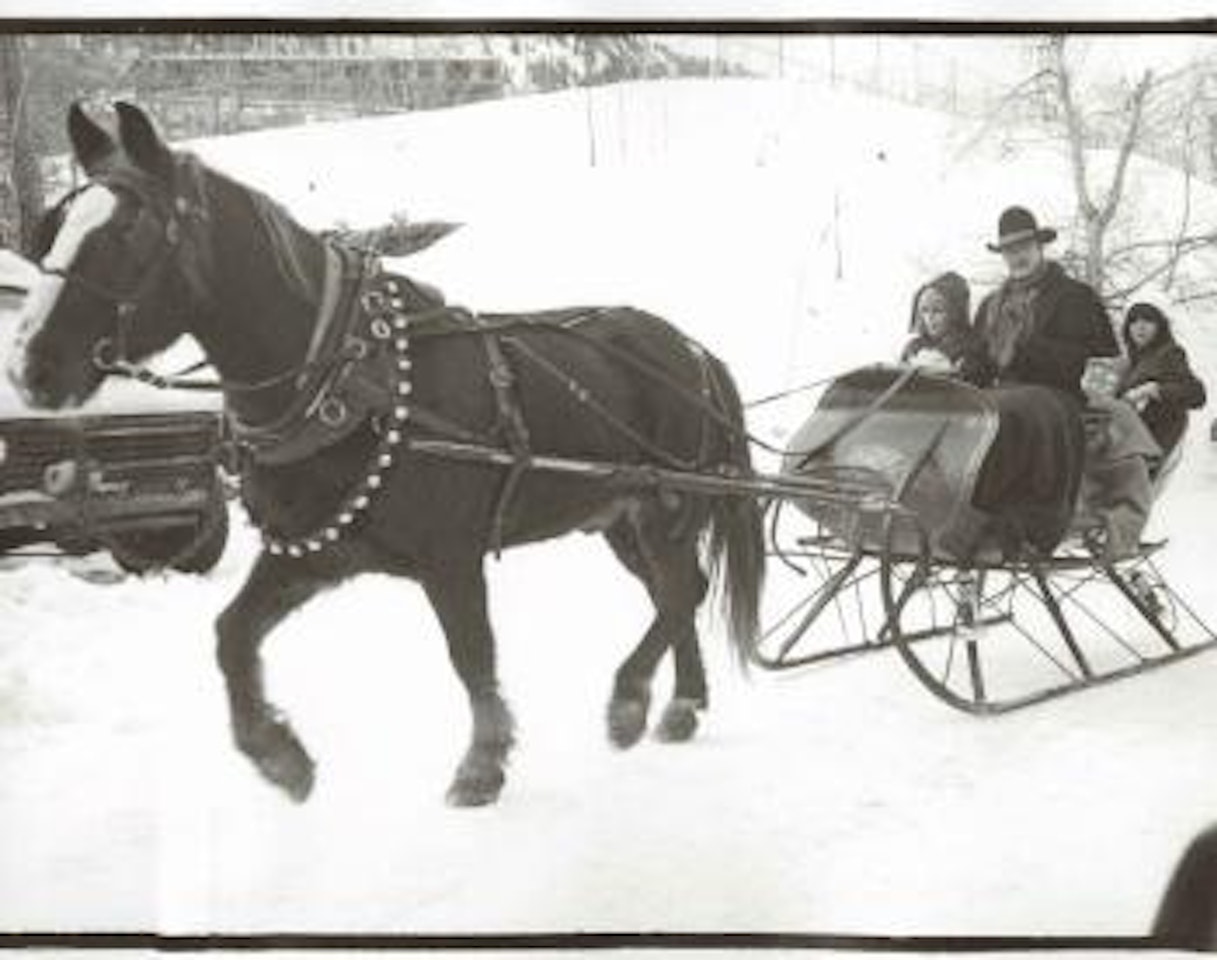 Horse and Sleigh by Andy Warhol