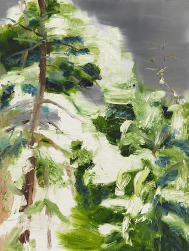 Tannen-Schnee by Rainer Fetting