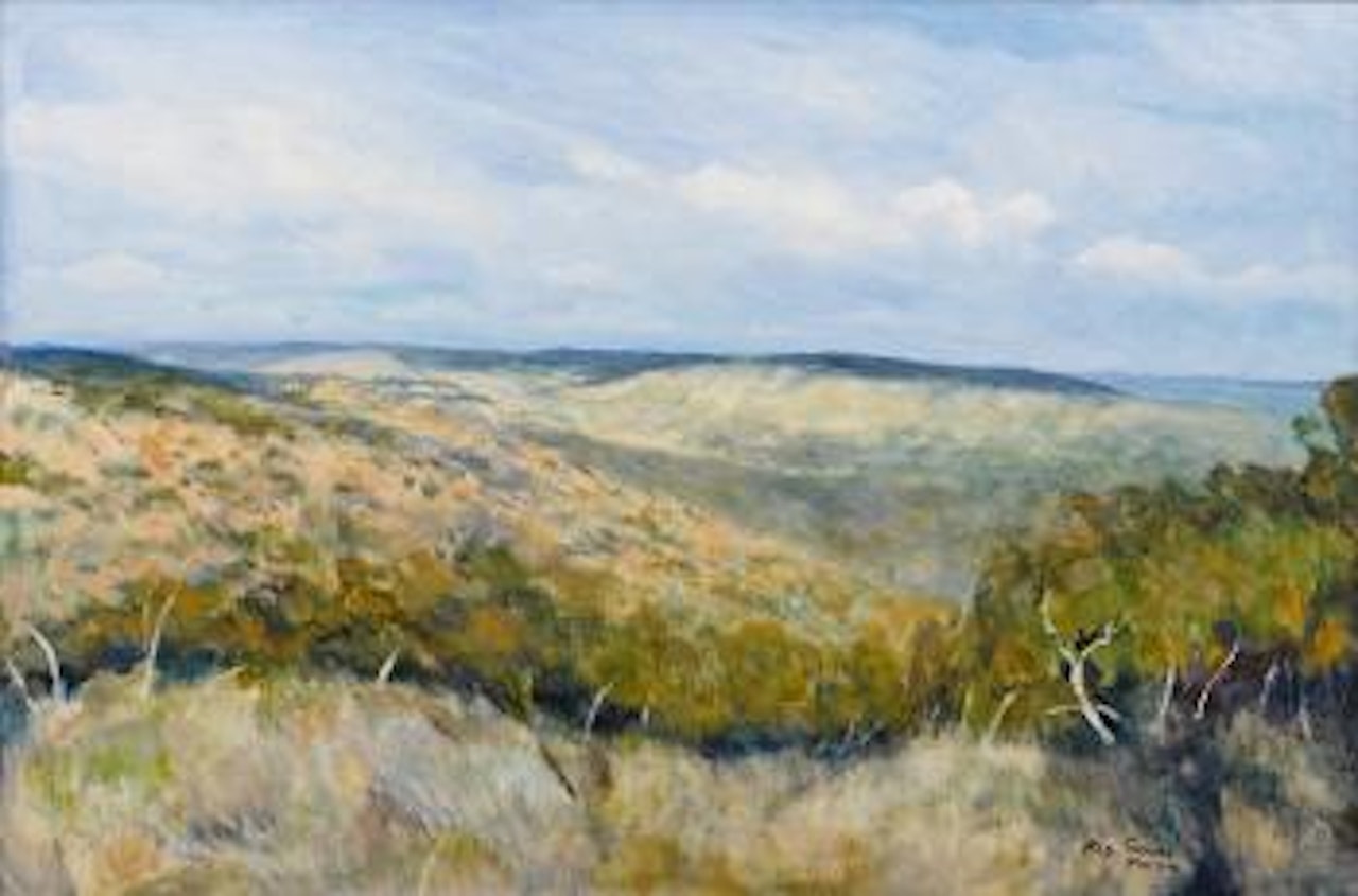 Hill End (Turon Valley) by Ray Austin Crooke