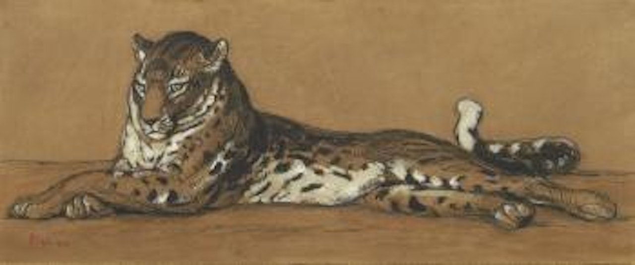 Tigre couché by Paul Jouve