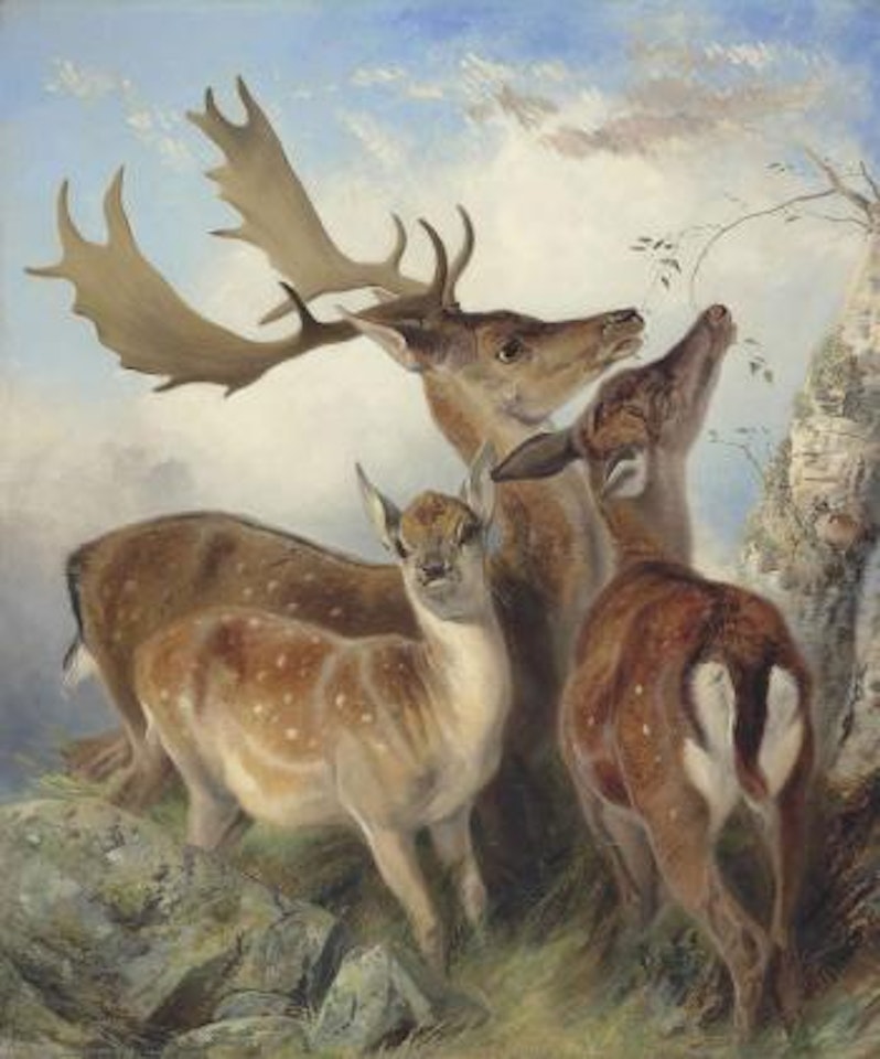 Fallow deer by Richard Ansdell