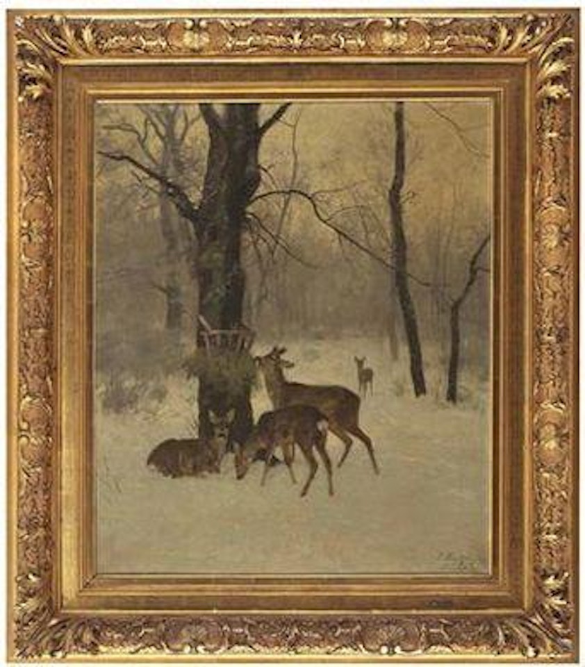 Rotwild im Winterwald bei der Futterkrippe by Josef Schmitzberger