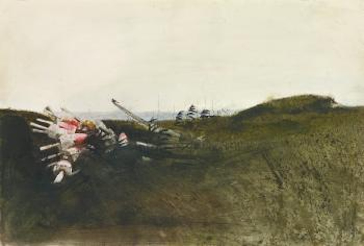 Field Sparrow by Andrew Wyeth