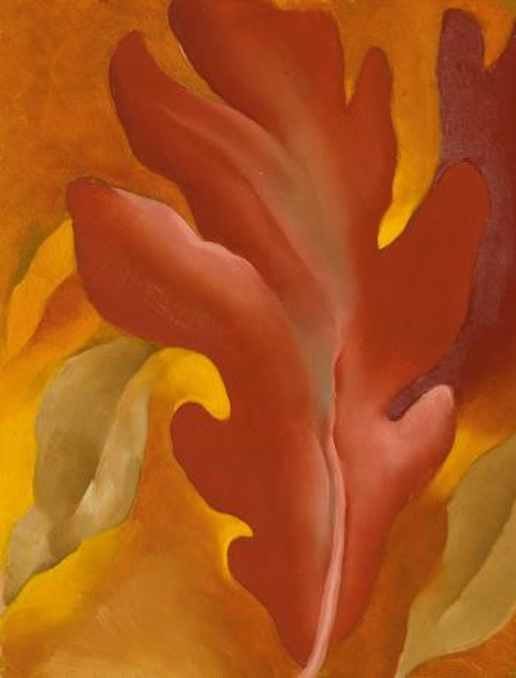 Oak Leaves by Georgia O'Keeffe