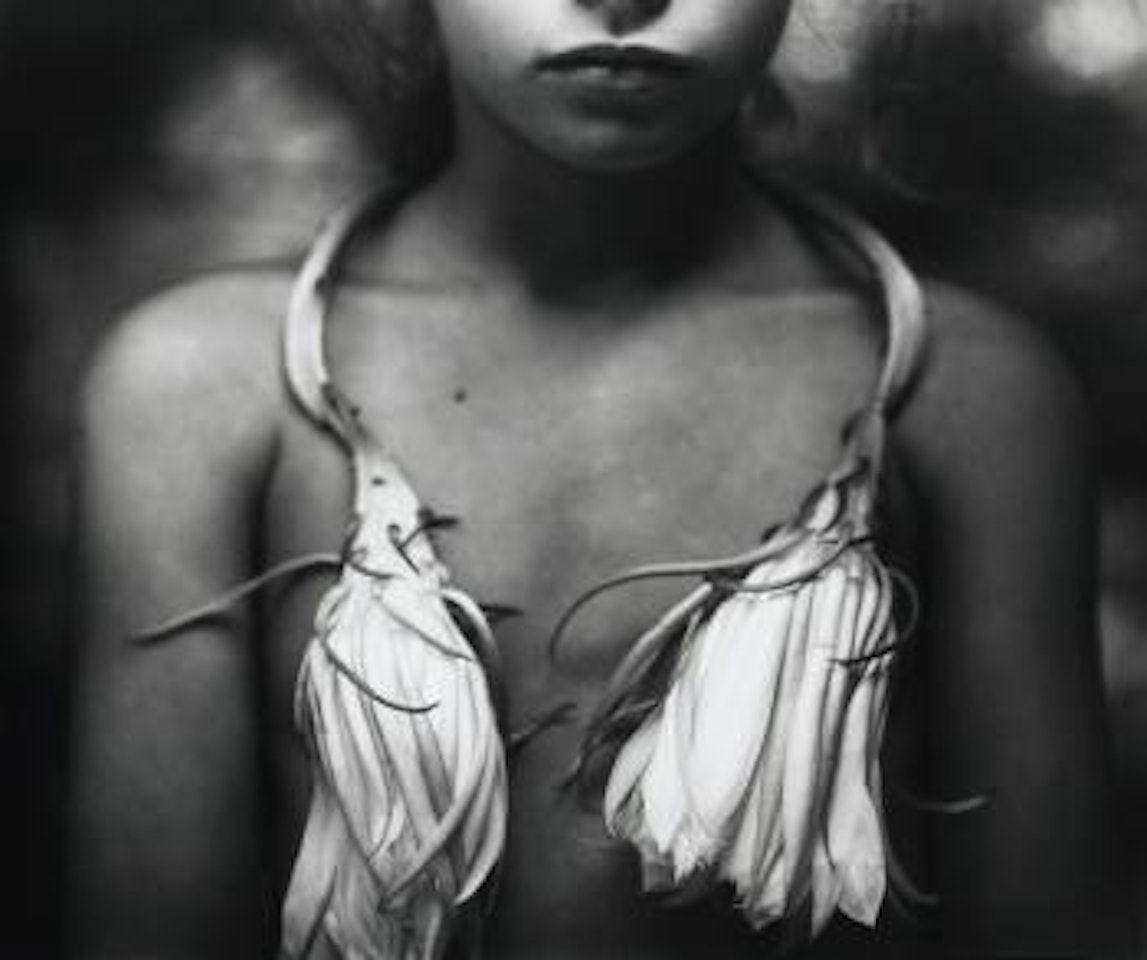 Night Blooming Cereus by Sally Mann