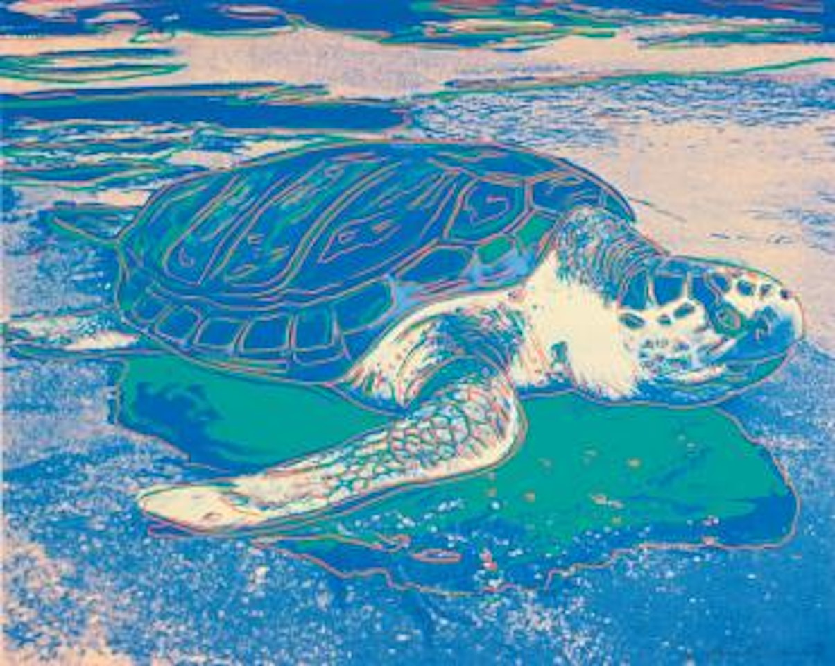 Turtle (F. & S. II.360a) by Andy Warhol