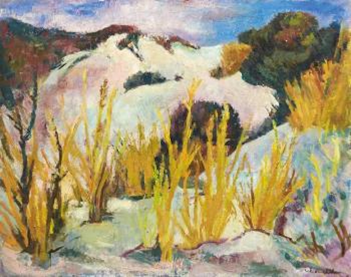 Paysage d'Ibiza by Willy Eisenschitz