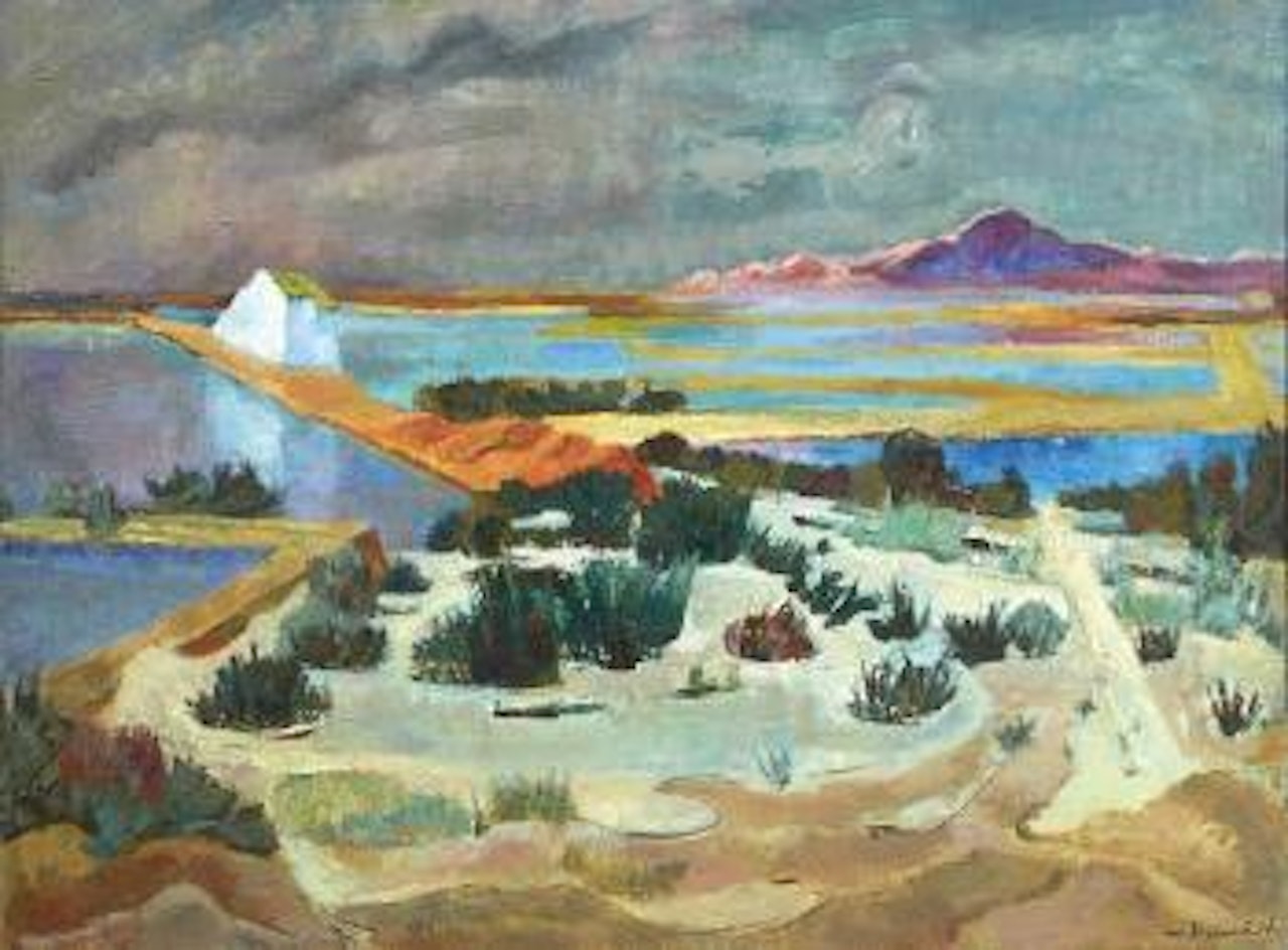 Paysage des Salins by Willy Eisenschitz
