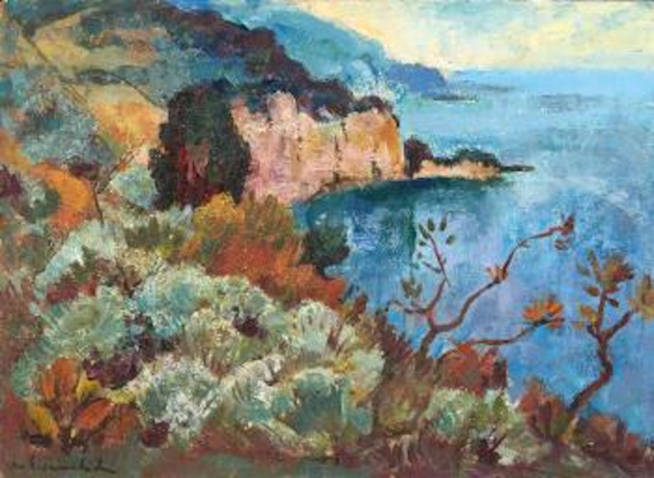 L'île du Levant by Willy Eisenschitz