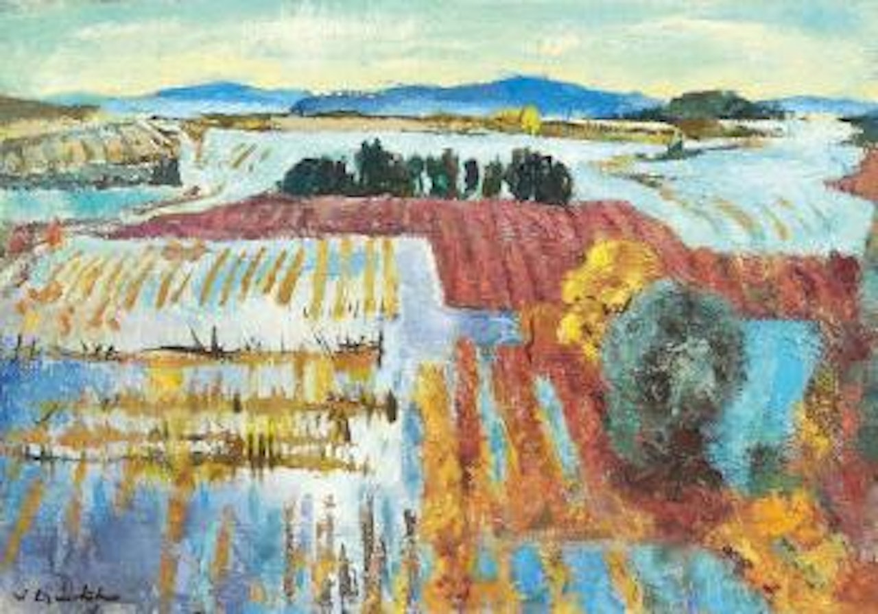 Les vignes inondées by Willy Eisenschitz