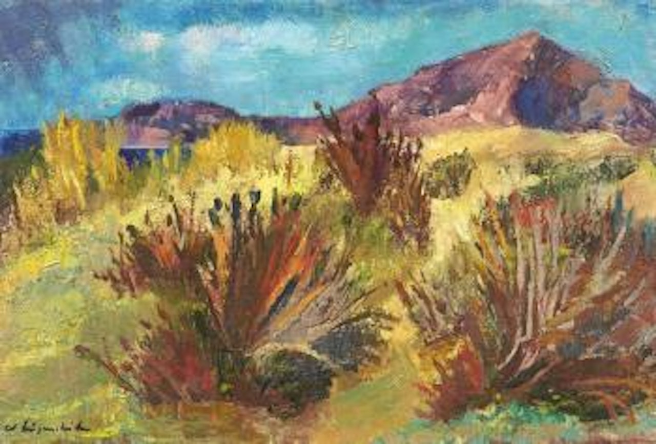 Une lande à Ibiza by Willy Eisenschitz