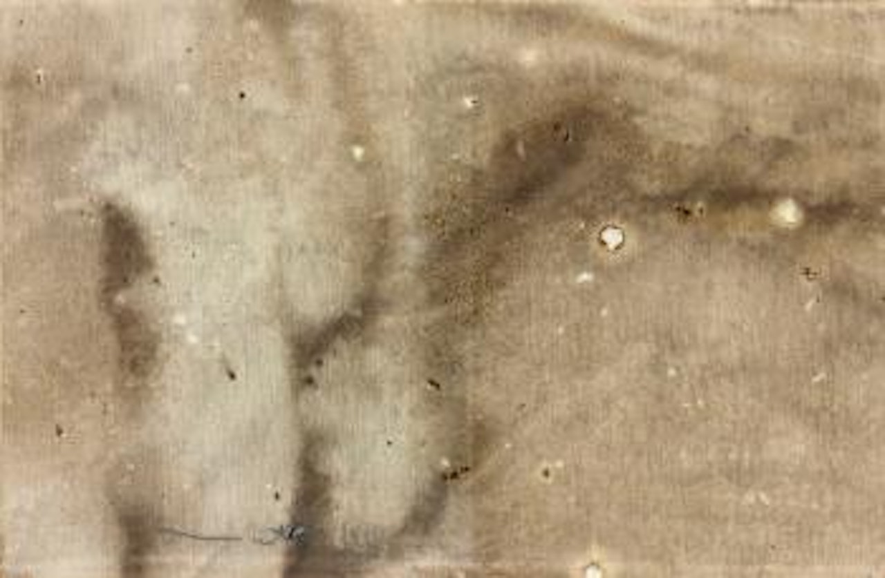 Senza titolo by Hermann Nitsch