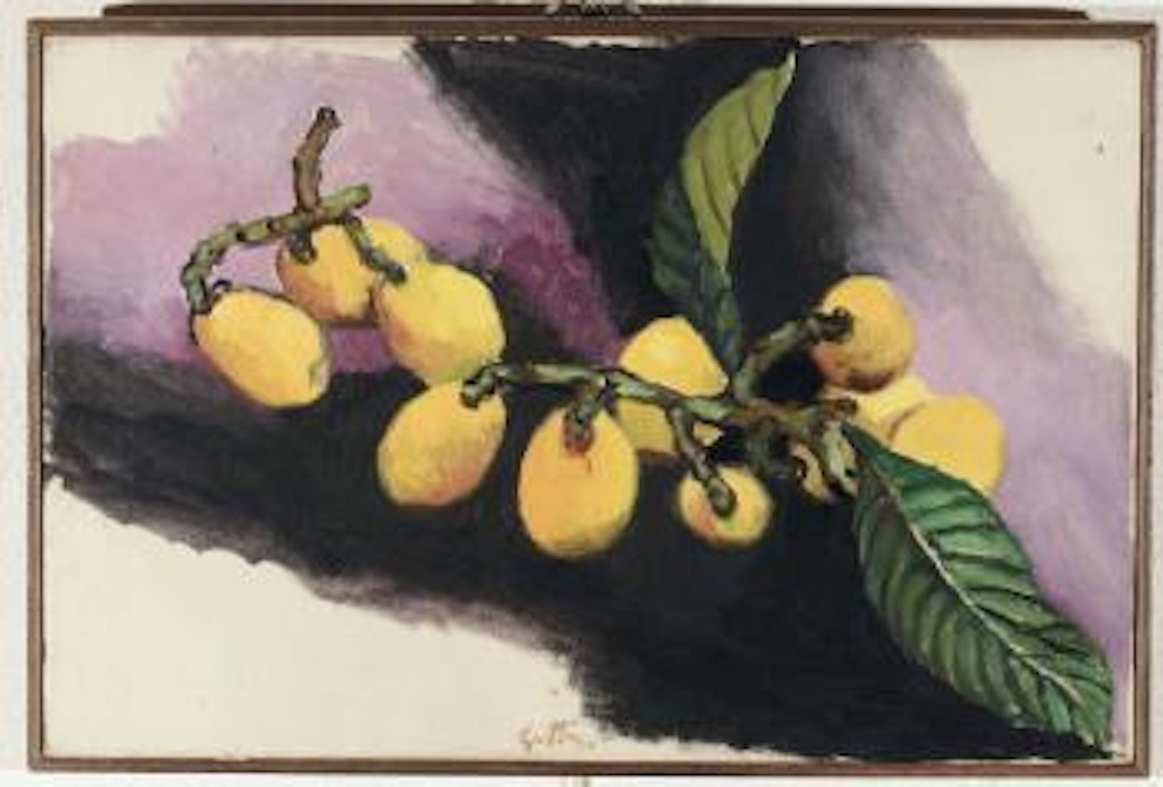 Nespole by Renato Guttuso