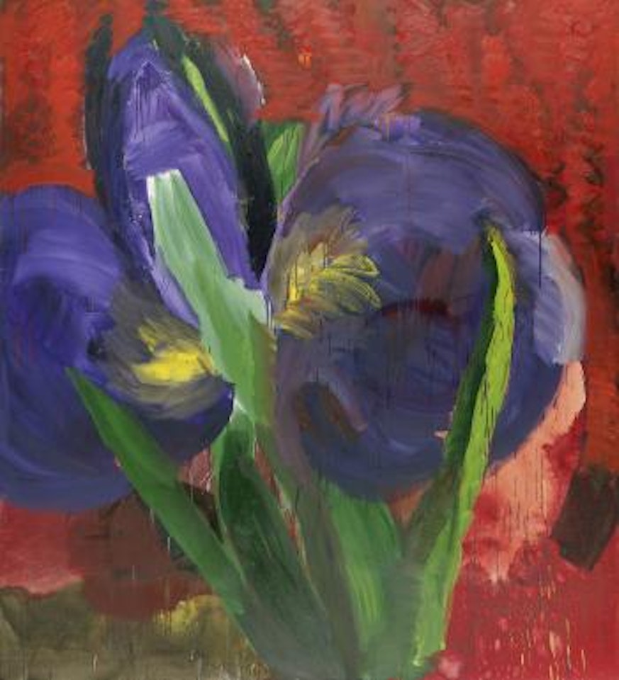 Iris by Rainer Fetting