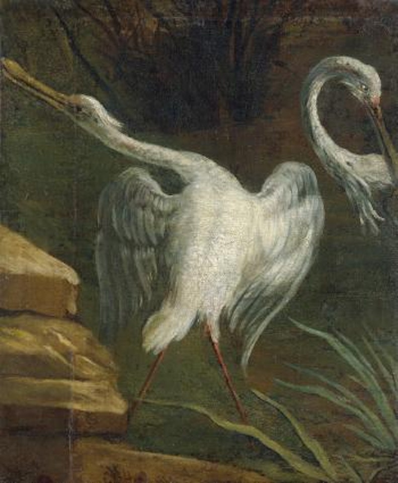 Staksende Löffler im Schilf by Jean-Baptiste Oudry