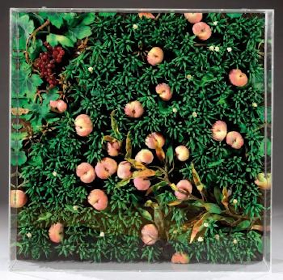 Pesche cadute nella vigna by Piero Gilardi