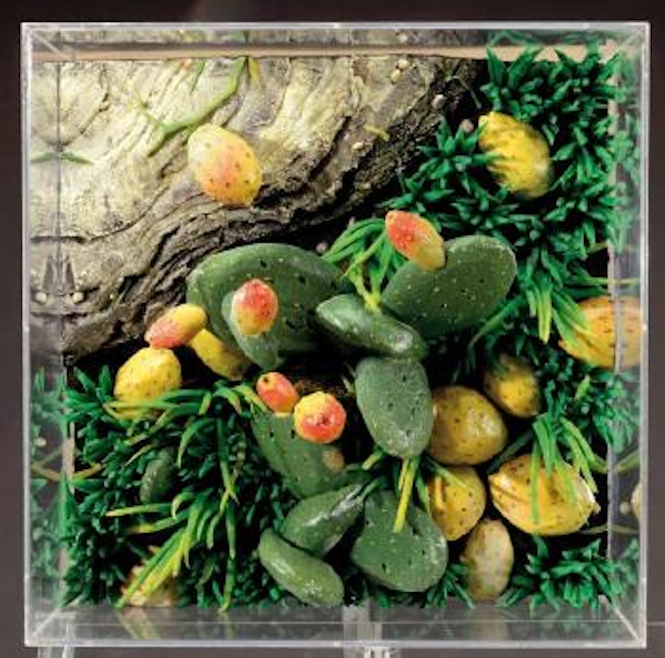 Fichi by Piero Gilardi