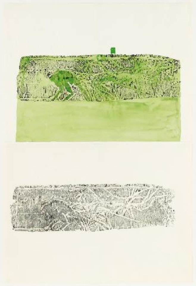 Planting a Coco-nut by Joseph Beuys