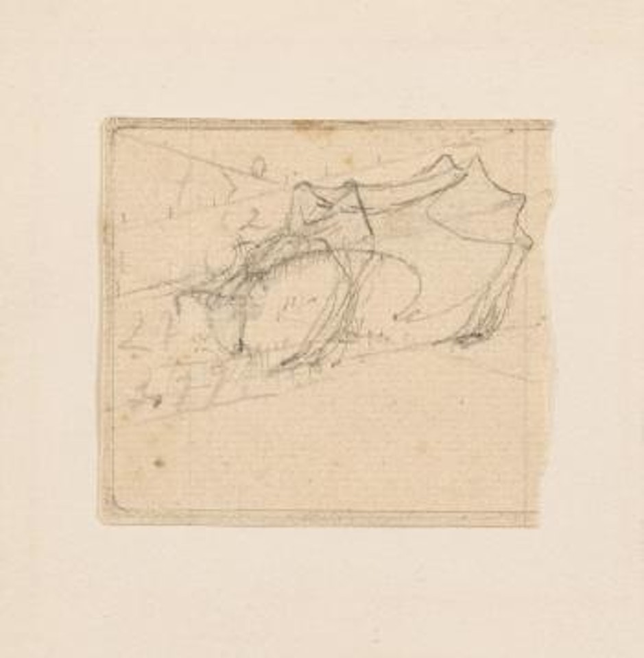Ziege by Joseph Beuys