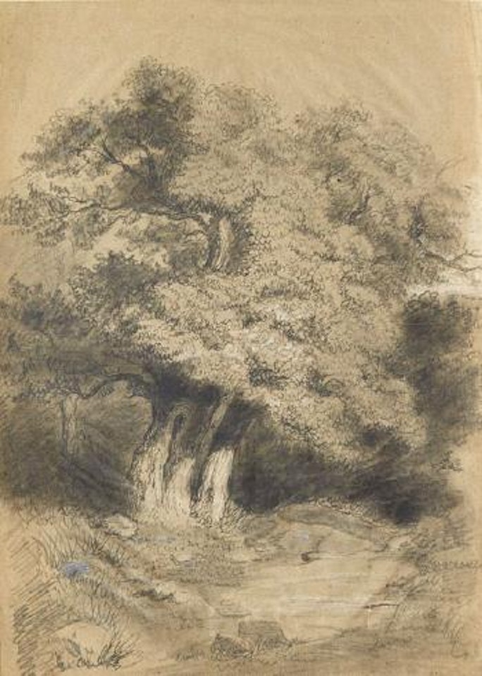Paysages aux grands arbres by Eugène Boudin