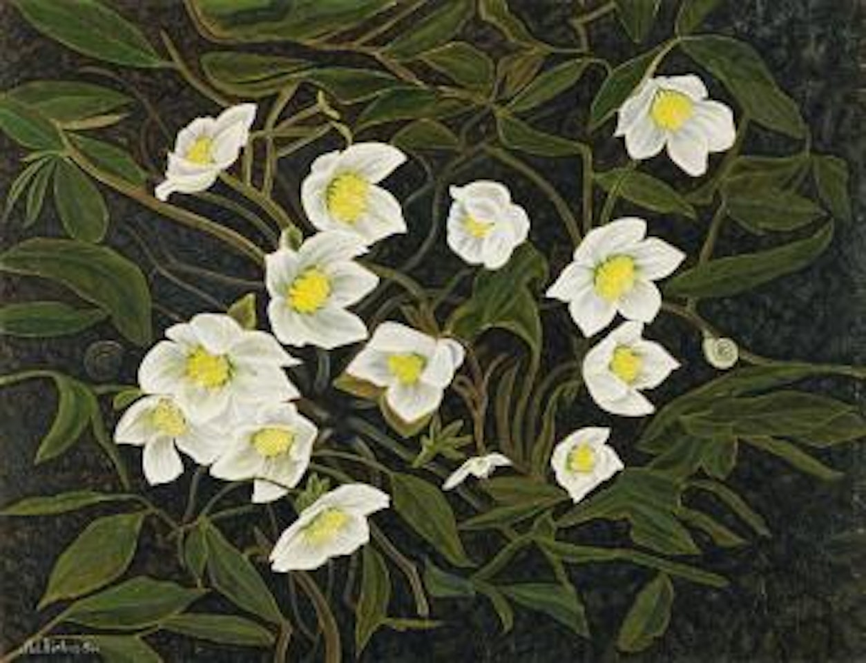 Christrosen by Adolf Dietrich