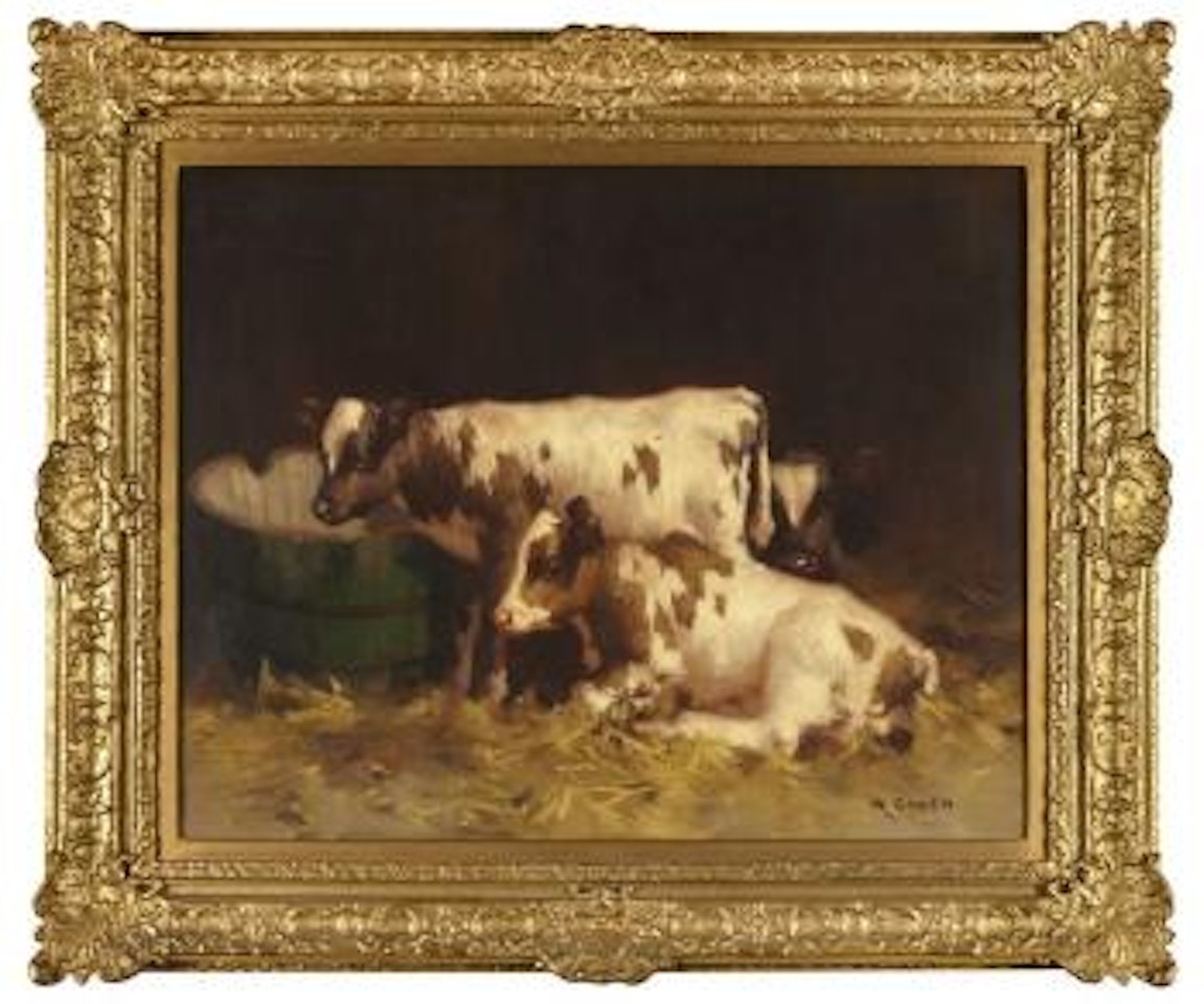Calves in a byre by David Gauld