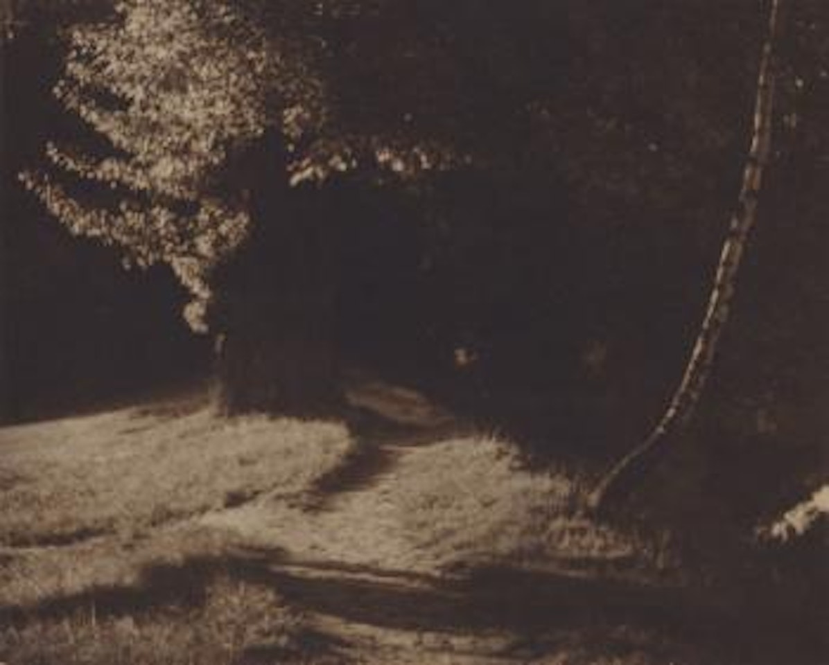 Ohne Titel (waldweg) by Josef Sudek