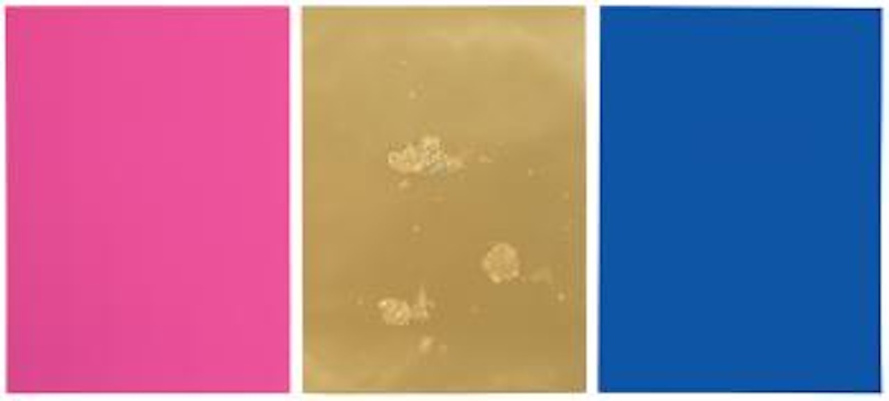 Zu: Monochrome Und Feuer by Yves Klein